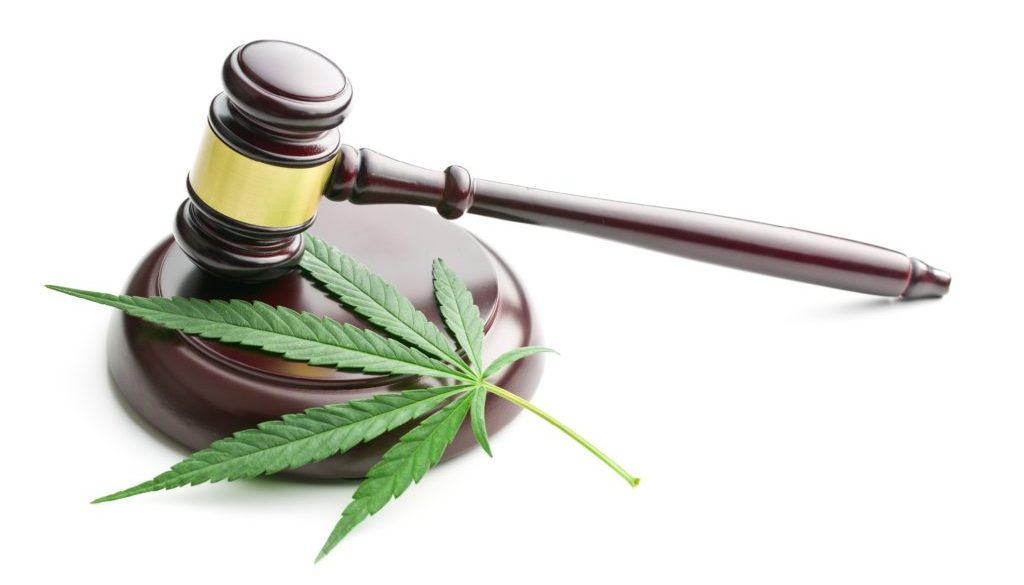 MSI Cannabis Guidance Slider Images 1500x678 no text (2)