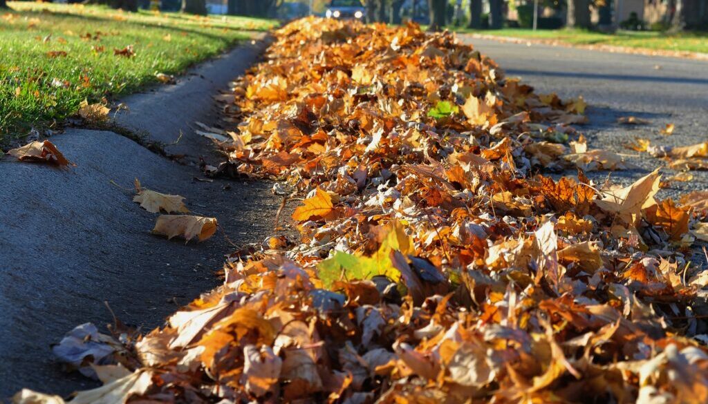 Heap of leaves along the street curb.
