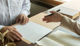 law and legal services