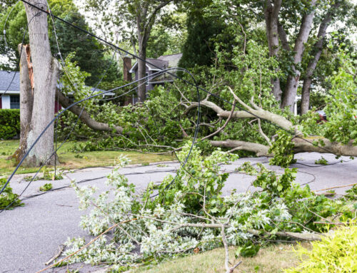 Post Storm Recovery & Clean-Up