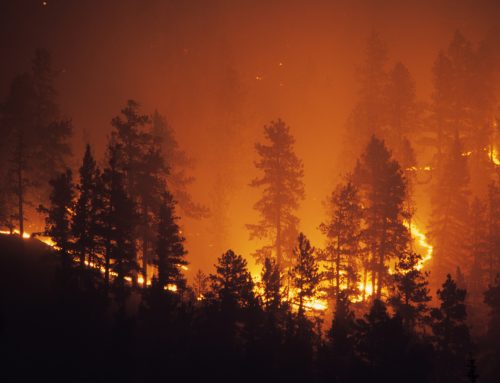 Wildfire Operations Model Policy