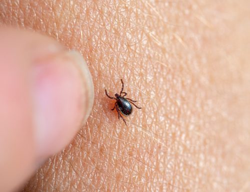 Tick & Tick-Borne Illnesses Best Practices